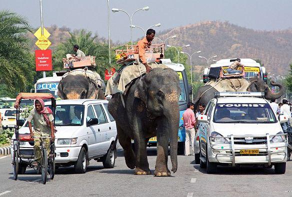 india_1.jpg